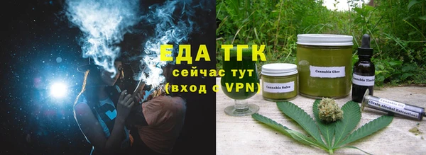 дмт Ельня